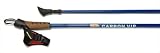 American Nordic Walking System - Real Nordic Walking Poles
