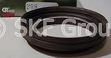 SKF 21918 Grease Seals