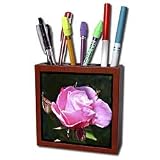 Patricia Sanders Flowers - dramatic rose - Tile Pen Holders-5 inch tile pen holder