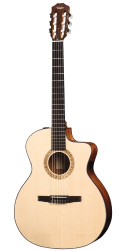 Taylor Guitars NS24ce Nylon Grand Auditorium Indian Rosewood BackSides Solid Sitka Spruce Top Cutaway ES-T