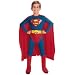 Superman Costume - Child's Fancy Dress - Small