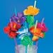 12 Hibiscus Straws