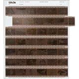 Print File Archival 35mm Size Negative Pages Holds Seven Strips of Six Frames, Pack of 100
