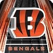 Cincinnati Bengals Mouse Pad