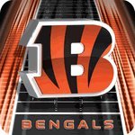 Cincinnati Bengals Mouse Pad