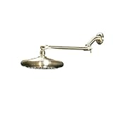 Oxygenics 05280 Extension Arm, Brushed Nickel