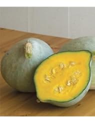 Lawn & Patio: Blue Hubbard Squash 15 Seeds - BONUS PACK!
