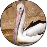 PELICAN BIRD Fridge Magenet
