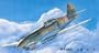 P-40B/C Warhawk Fighter 1-72 Trumpeter