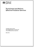 Punishment and reform : effective probation services