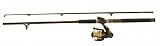 Shakespeare Surf Fishing Rod and Reel Combo