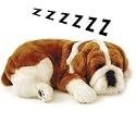 LIFE LIKE BULL DOG PUPPY