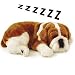 LIFE LIKE BULL DOG PUPPY