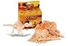Discover Small Dinosaur Dig Kit