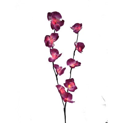 Creative Motion Battery-Operated 10-Light LED Orchid Light