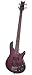Schecter Raiden Elite-4 Bass - Black Cherry