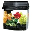 Aqueon Aqueon 01205 1-Gallon Mini Bow Aquarium Kit, Black Aqueon Aqueon 01205 1-Gallon Mini Bow Aquarium Kit, Black