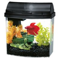 Aqueon Double Sided Black Mini Bow Desktop Aquarium Kit