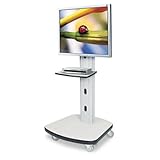 Mobile Plasma/LCD Display Stand