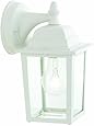 Thomas Lighting SL94238 Hawthorne Outdoor Wall Lantern, Matte White