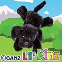 Lil' Kinz Black Lab Webkinz