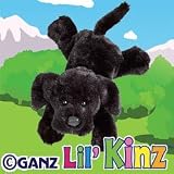 Lil' Kinz Black Lab Webkinz