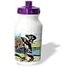 dachshund29 - Dogs Dachshund Dapple Dachshund Water Bottles
