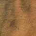 Interfit Photographic Duo-Tone Light Brown Muslin Background Cloth, Large 9' x 23'