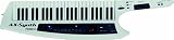 Roland AX-SYNTH 49-Key Synthesizer