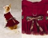 Corduroy Western Dog Dress
