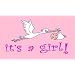 New 3x5 It's a Girl Flag 3 x 5 Newborn Baby Banner