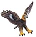 Safari's Golden Eagle