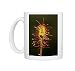 Photo Mugs of Oblong-leaved Sundew from Ardea Wildlife Pets