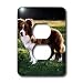 Dogs Border Collie - Border Collie Tan and White - Light Switch Covers - 2 plug outlet cover