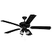 Yosemite Home Decor Sharon-BL 52-Inch Ceiling Fan with Light Kit Rated for Wet Locations, Black