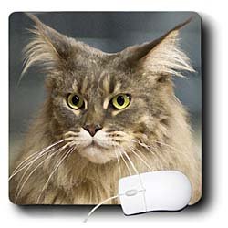 image link -  - B002TDOASO