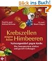 Krebszellen m�gen keine Himbeeren. Nahrungsmittel gegen Krebs