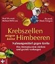 Krebszellen m&ouml;gen keine Himbeeren. Nahrungsmittel gegen Krebs
