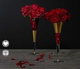 Carnation - Rejouir