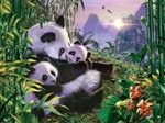 Ravensburger Panda Family 200 Piece Puzzle - 12741