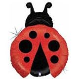 Adorable Red and Black Lady Bug 27