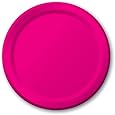 Creative Converting Touch of Color 24 Count Paper Lunch Plates, Hot Magenta