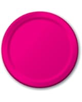 Creative Converting Touch of Color 24 Count Paper Lunch Plates, Hot Magenta