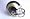 NFL Pro Line Helmet (EA)