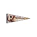 WASHINGTON REDSKINS 12X30 PENNANT FLAG