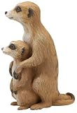 Meerkat with Baby (Incredible Creatures)