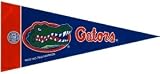 Florida Gators Mini Pennants - 8 Piece Set