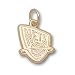 New Jersey Nets 3/8 14k Logo Pendant/14kt yellow gold