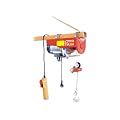 Electric Hoist