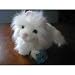   - Webkins 8.5
